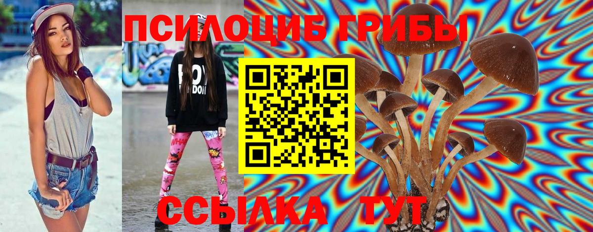 Кизилюрт  Галлюциногенные грибы ЛСД  Вход с VPN 