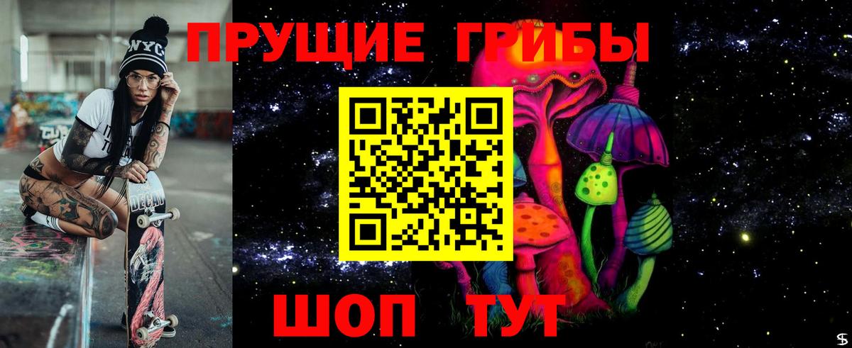 Псилоцибиновые грибы Cubensis Кизилюрт
